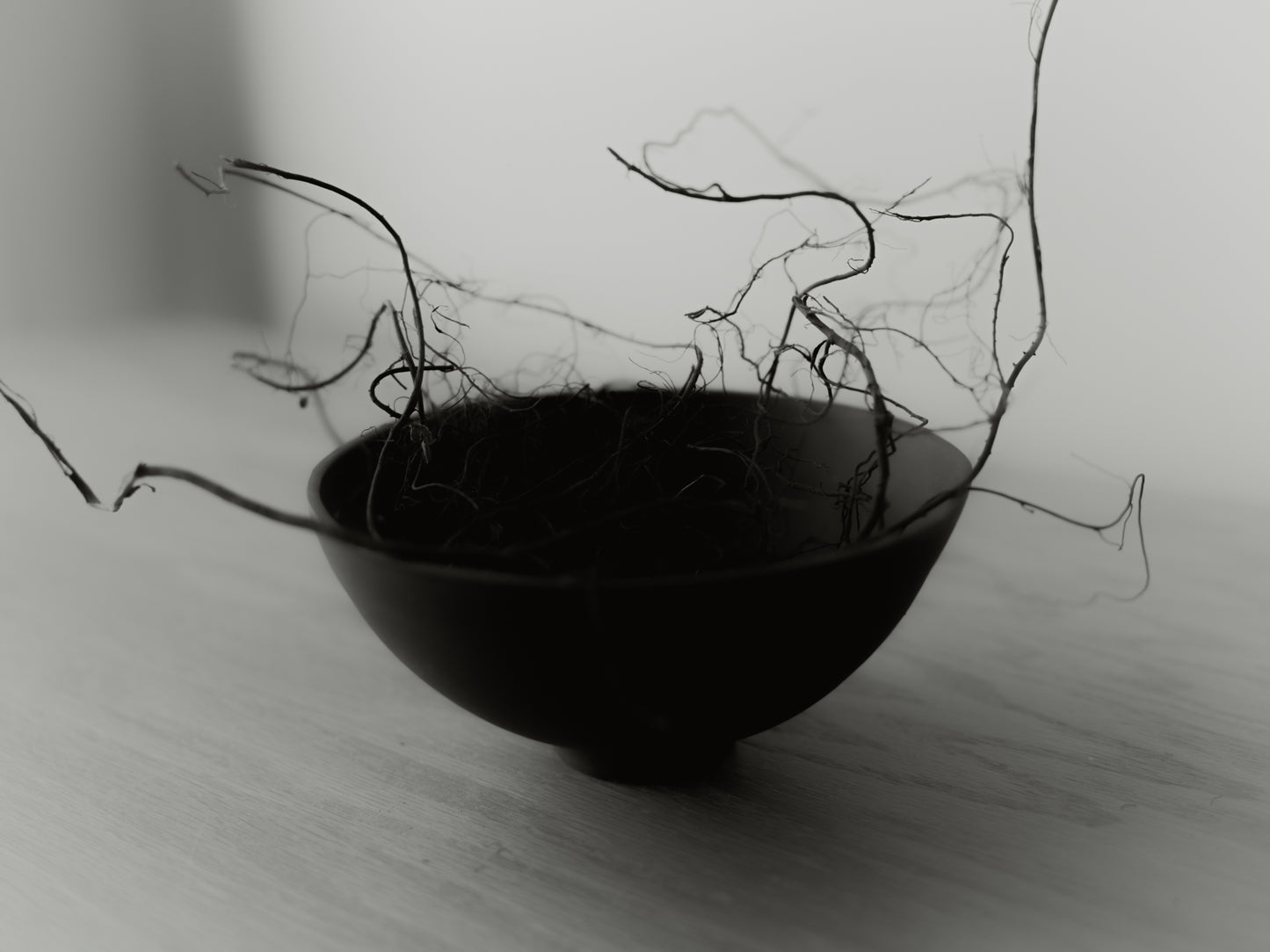 Soup Bowl